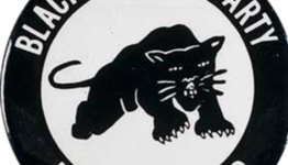 Timeline: black panthers done right