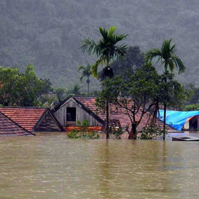 Timeline: Climate change in South Vietnam causes a new disease.