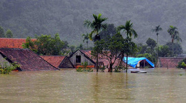 Timeline: Climate change in South Vietnam causes a new disease.