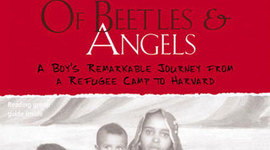 Timeline: Of Beetles and Angels