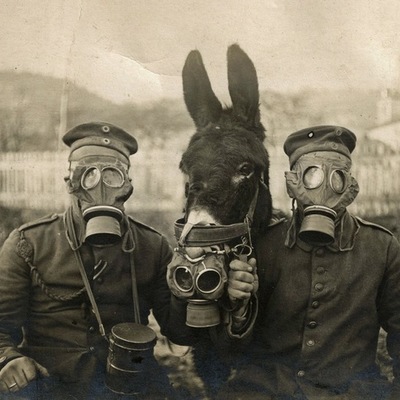 Timeline: 1ª guerra mundial