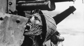 Timeline: WWII (Best)