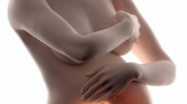 Timeline: Etapas del embarazo