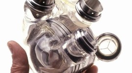 Timeline: The Progression of the Artificial Heart