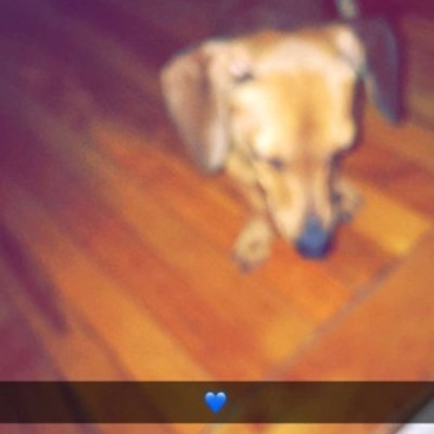 Timeline: Katleen Lima