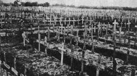 Timeline: 1ª Guerra Mundial