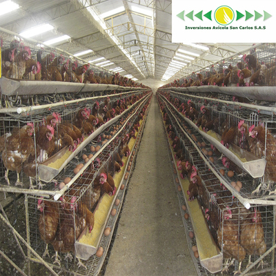 Timeline: CICLO DE PRODUCCION