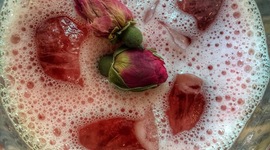 Timeline: My last summer