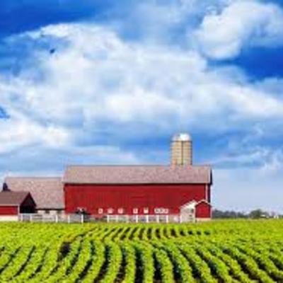 Timeline: michaels time line