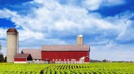 Timeline: michaels time line