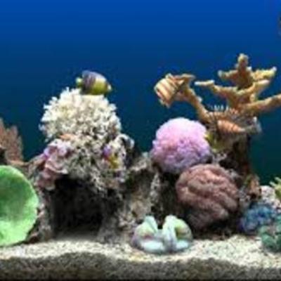 Timeline: Aqua Science