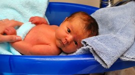 Timeline: nacimiento