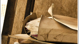 Timeline: historia Del papel