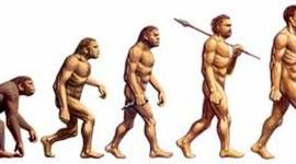 Timeline: HISTORIA DE LA SOCIEDAD HUMANA: AURA MARÍA SABOGAL