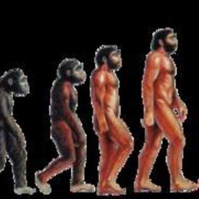 Timeline: EVOLUCION DE IDIOMA ESPAÑOL