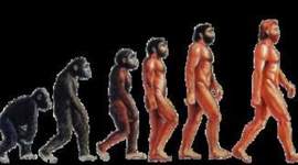 Timeline: EVOLUCION DE IDIOMA ESPAÑOL