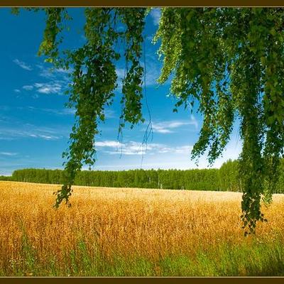 Timeline: Исторические периоды в развитии русского языка