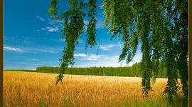 Timeline: Исторические периоды в развитии русского языка