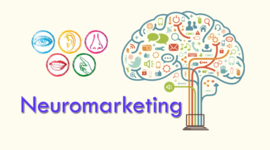 Timeline: LINEA DE TIEMPO DEL NEUROMARKETING
