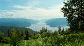 Timeline: "Алтайский природный заповедник"