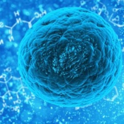 Timeline: La Célula