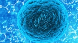 Timeline: La Célula