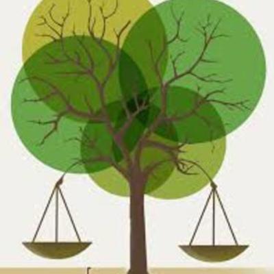 Timeline: Derecho Ambiental.