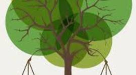 Timeline: Derecho Ambiental.