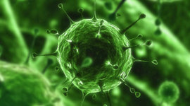 Timeline: Virus del Sabox