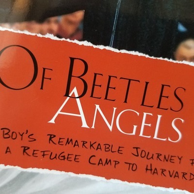 Timeline: OF BEETLES & ANGELS