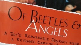 Timeline: OF BEETLES & ANGELS