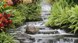 Timeline: Selangor Water Crisis Timeline