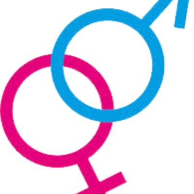 Timeline: PERSPECTIVAS DE GÉNERO COMO PIEZA FUNDAMENTAL EN TRABAJO SOCIAL