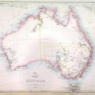 Timeline: HIGE Assessment Term 1