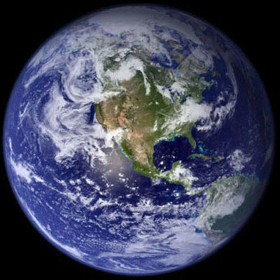 Timeline: The History of Life on Earth