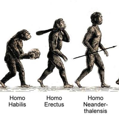 Timeline: Human Evolution