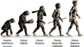 Timeline: Human Evolution