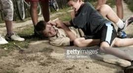 Timeline: Of Beetles and Angels 2