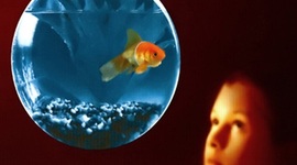 Timeline: As Origens