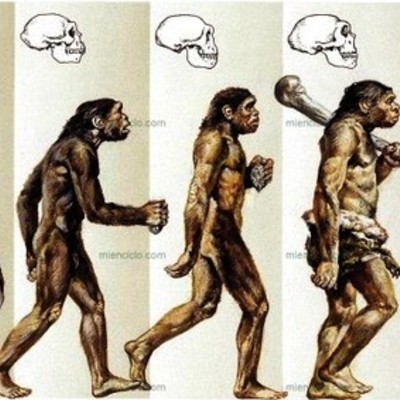 Timeline: La evolucion