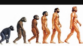 Timeline: EVOLUCIÓN