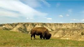 Timeline: Conflict on the Great Plains