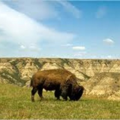 Timeline: Conflict on the Great Plains