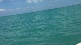 Timeline: Zachs civil rights thing