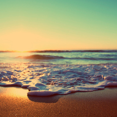 Timeline: Yessenia Arias