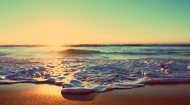 Timeline: Yessenia Arias