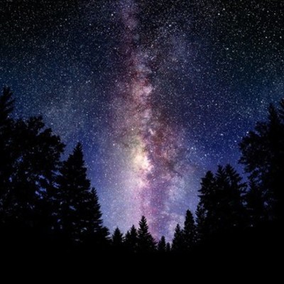 Timeline: Linha do tempo