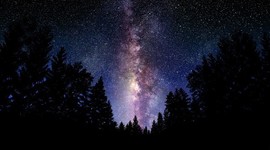 Timeline: Linha do tempo