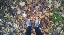 Timeline: PSY A150 - Erikson Timeline