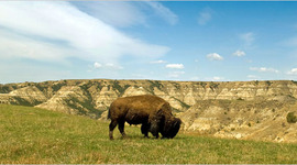 Timeline: Conflict on the Great Plains